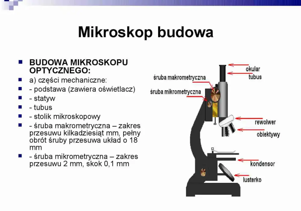 Budowa mikroskopu elektronowego - Kiedy powiększenie to za mało?