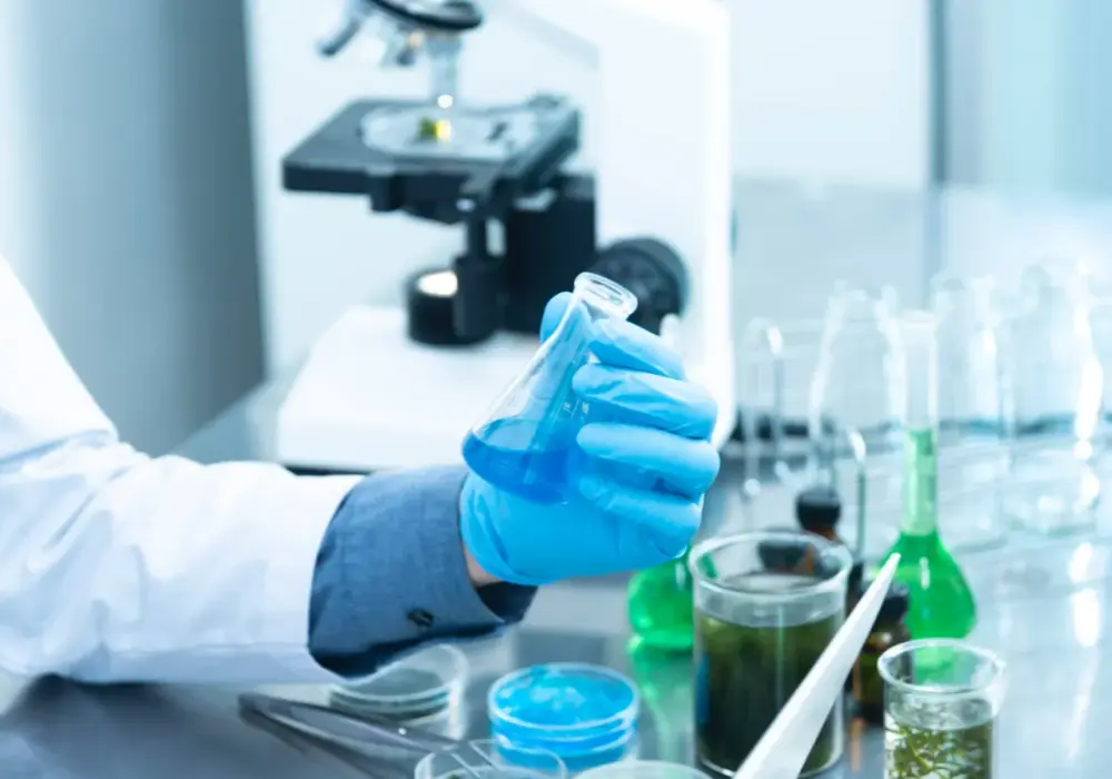 Mikrobiologia co po studiach: jakie możliwości kariery czekają na Ciebie?