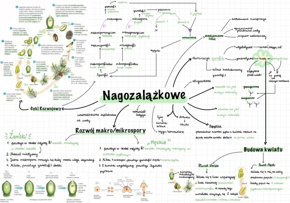 Jak rozmnażają się rośliny - 3 strategie i najczęstsze błędy