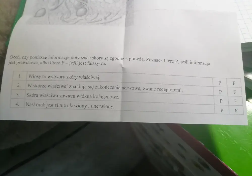 Czy włosy to wytwory skóry właściwej - Wyjaśniamy częsty błąd