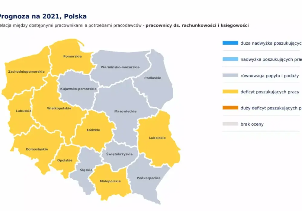 Co można robić po studiach finanse i rachunkowość? Sprawdź możliwości kariery