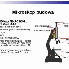 Schemat budowy mikroskopu optycznego z zaznaczonymi elementami: okular, tubus, śruby makrometryczne, rewolwer, obiektywy, kondensor, lusterko.