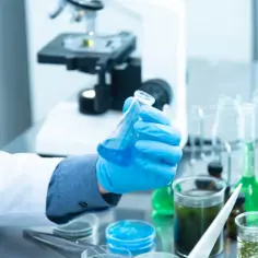 Mikrobiologia co po studiach: jakie możliwości kariery czekają na Ciebie?