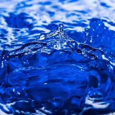 Co to osmoza w biologii? Zrozumienie kluczowego procesu życia