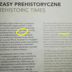 Najstarsze ślady obecności człowieka, w tym przedstawiciele rodzaju *Homo*, na terenie współczesnej Korei sięgają paleolitu.