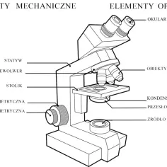 Schemat mikroskopu z opisem elementów mechanicznych i optycznych. Dowiedz się, jak ustawić mikroskop, poznając jego części: statyw, stolik, rewolwer, śruby makrometryczną i mikrometryczną, okular, obiektyw, kondensor, przesłonę i źródło światła.
