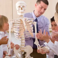 Kiedy biologia rozszerzona? Sprawdź ważne daty i szczegóły egzaminu