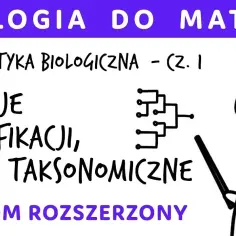 Co to jest systematyka w biologii i dlaczego jest tak ważna?
