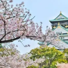 Jaki jest klimat w Japonii? Zaskakujące różnice sezonowe i warunki