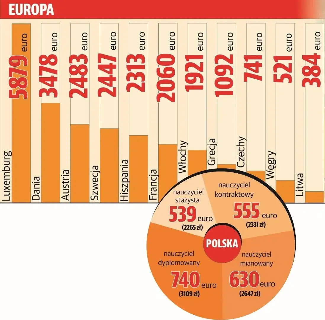 Zdjęcie Ile zarabia nauczyciel biologii? Zaskakujące różnice w wynagrodzeniach