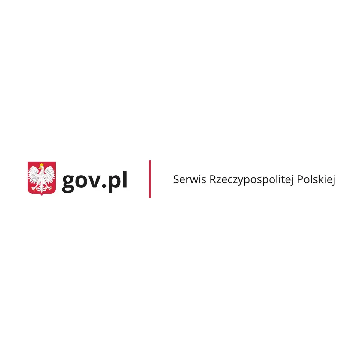 Zdjęcie Program nauczania co to? Kluczowe informacje i znaczenie w edukacji