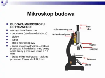 Schemat budowy mikroskopu optycznego z zaznaczonymi elementami: okular, tubus, śruby makrometryczne, rewolwer, obiektywy, kondensor, lusterko.