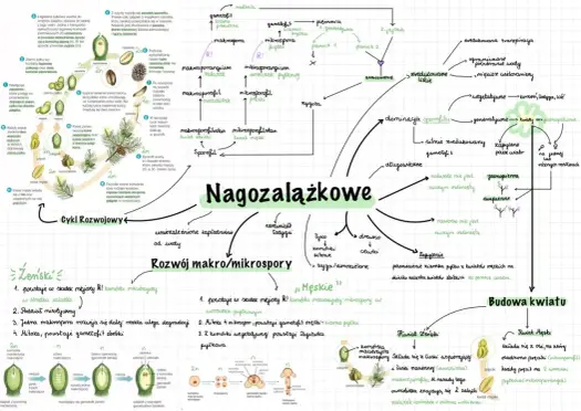 Jak rozmnażają się rośliny - 3 strategie i najczęstsze błędy
