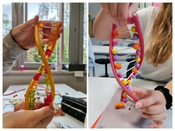 Model DNA z koralików - Jak zrobić go poprawnie krok po kroku?