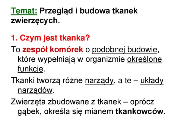Tkanki zwierzęce - Dlaczego ich budowa nigdy nie jest przypadkowa?
