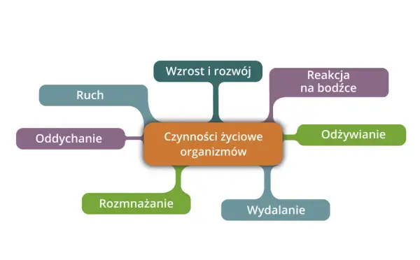Cechy organizmów żywych - Co naprawdę odróżnia życie od materii?
