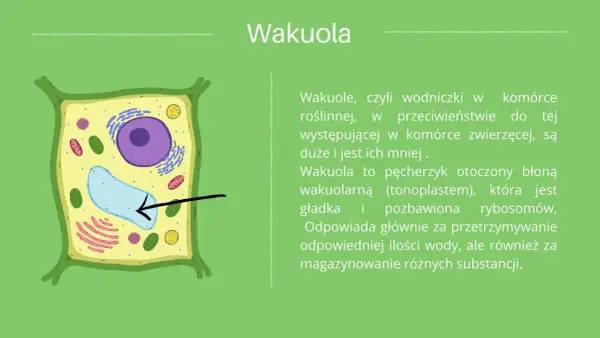 Komórka roślinna - Budowa i funkcje - Dlaczego nie każda jest zielona?
