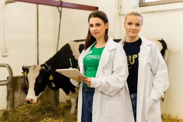 Weterynaria w Lublinie - Czy to studia dla Ciebie? Poznaj realia