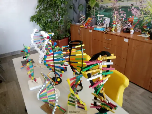 Model DNA z patyczków do uszu - Jak uniknąć częstych błędów?