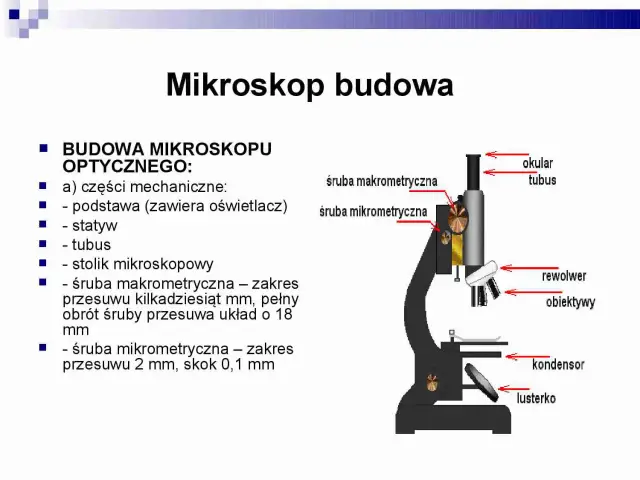 Schemat budowy mikroskopu optycznego z zaznaczonymi elementami: okular, tubus, śruby makrometryczne, rewolwer, obiektywy, kondensor, lusterko.