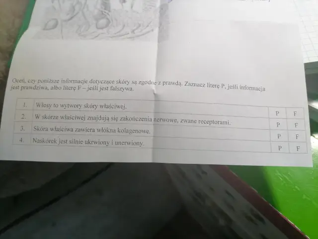 Oceń, czy włosy to wytwory skóry właściwej. Prawda czy fałsz? Tabela zawiera pytania o skórę.